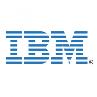Опция для сервера IBM ServeRAID
