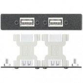 Вставка AAP с разъемами (2) USB A - USB B f-f, одинарная (черная)