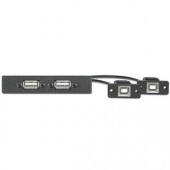 Вставка AAP с разъемами (2) USB A female- (2) USB B female, одинарная (черная), 25 см