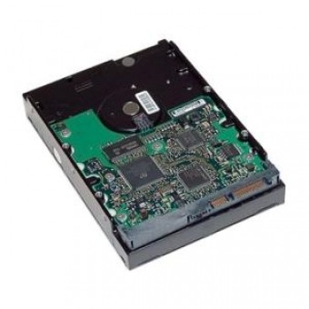 Жесткий диск HP 250 ГБ SATA 6 Гб|с, 7200(LQ034AA)