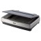 Сканер Epson Expression 11000XL