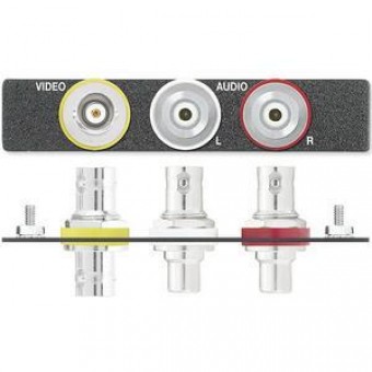 Вставка AAP BNC и 2 RCA-BNC F, одинарная (черная, с надписями)
