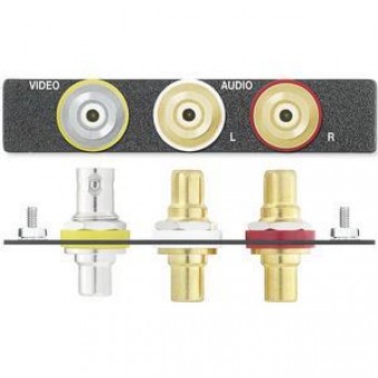 Вставка AAP RCA-BNC и 2 RCA F, одинарная (белая, с надписями)