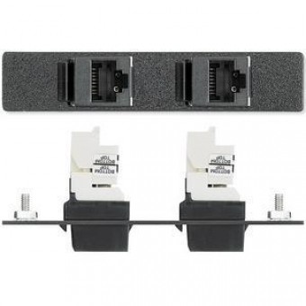 Вставка AAP 2 RJ-45 female - Cat.6 под обжим, одинарная (белая, Panduit)
