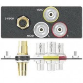 Вставка AAP S-video и 3 RCA-BNC F, двойная (белая, с надписями)
