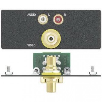 Вставка AAP с разъемами (2) RCA f - 3.5 мм зажим, (1) RCA f-f, двойная (черная, с надписями)
