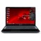 Ноутбук Packard Bell EasyNote LV11HC-33126G50Mnks